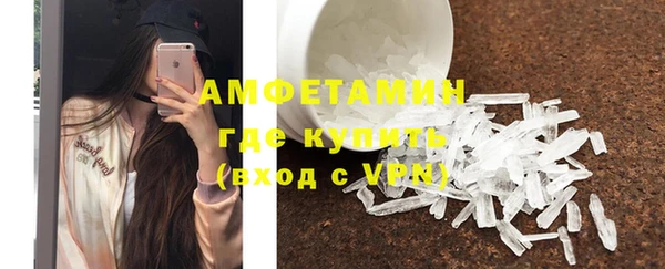 ГАЛЛЮЦИНОГЕННЫЕ ГРИБЫ Аркадак